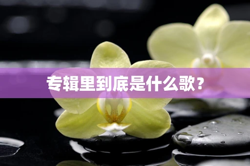 专辑里到底是什么歌？