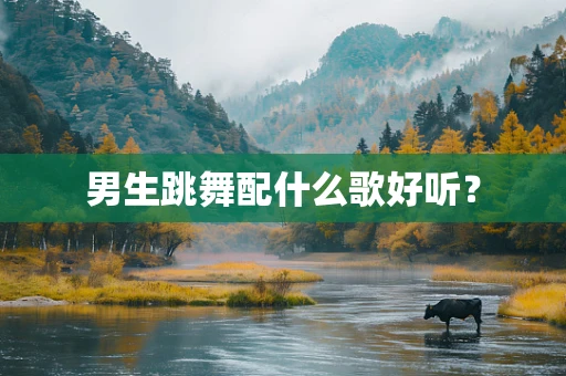 男生跳舞配什么歌好听？