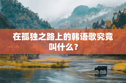 在孤独之路上的韩语歌究竟叫什么？