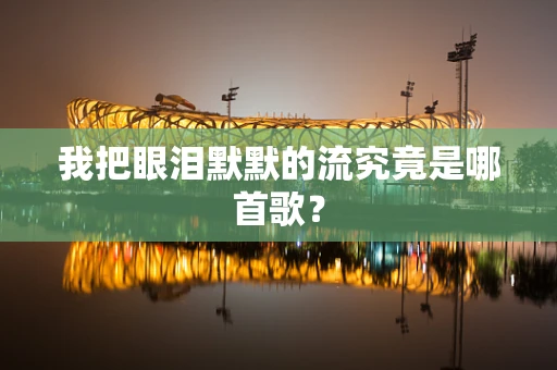 我把眼泪默默的流究竟是哪首歌？
