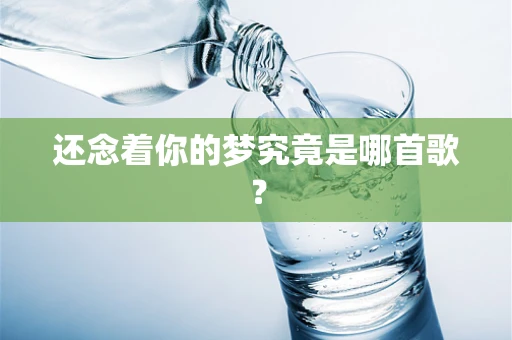 还念着你的梦究竟是哪首歌？