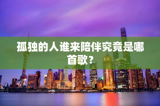 孤独的人谁来陪伴究竟是哪首歌？