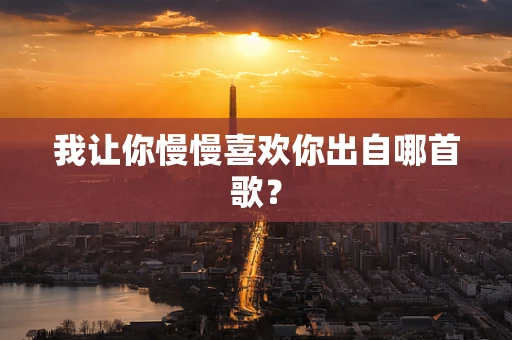 我让你慢慢喜欢你出自哪首歌？