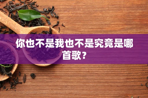 你也不是我也不是究竟是哪首歌？