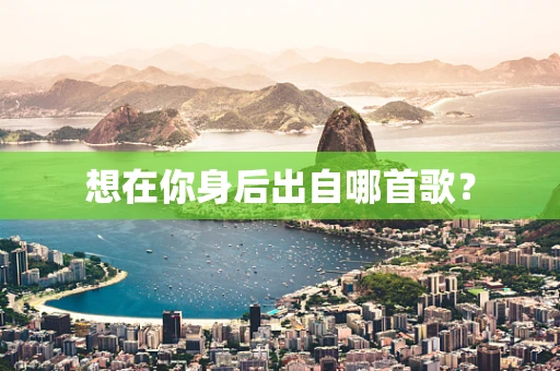 想在你身后出自哪首歌？