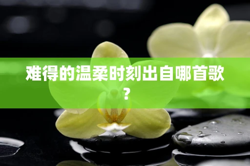 难得的温柔时刻出自哪首歌？