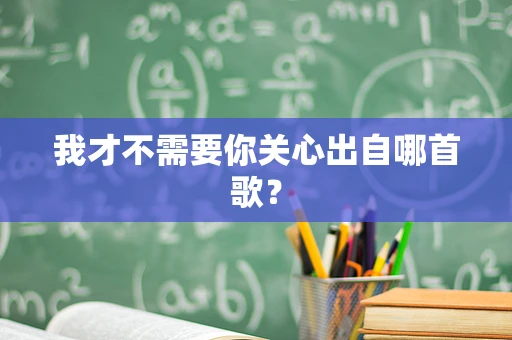 我才不需要你关心出自哪首歌？