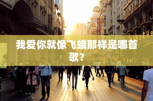 我爱你就像飞蛾那样是哪首歌？