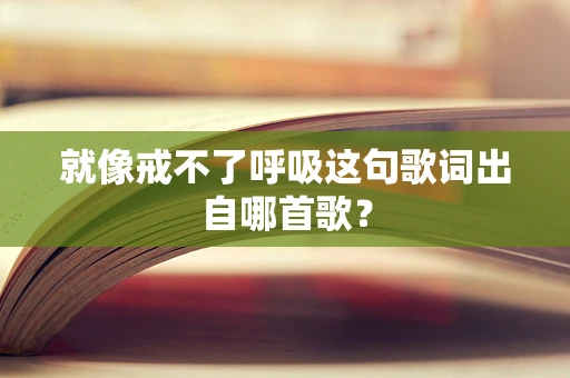 就像戒不了呼吸这句歌词出自哪首歌？