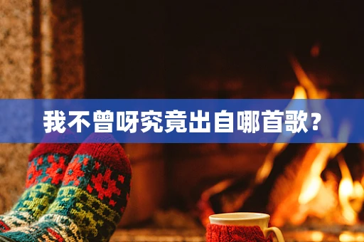 我不曾呀究竟出自哪首歌？