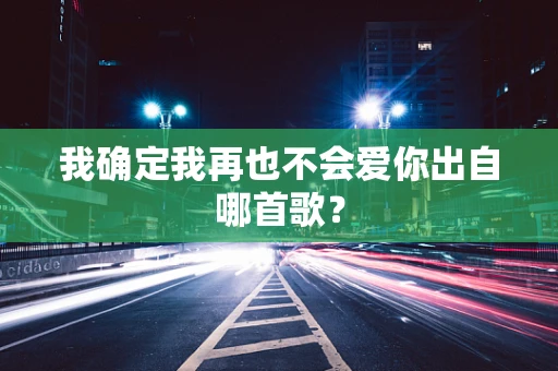 我确定我再也不会爱你出自哪首歌？