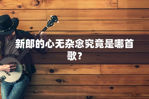 新郎的心无杂念究竟是哪首歌？