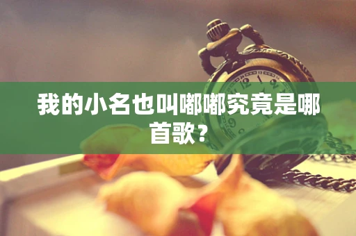 我的小名也叫嘟嘟究竟是哪首歌？
