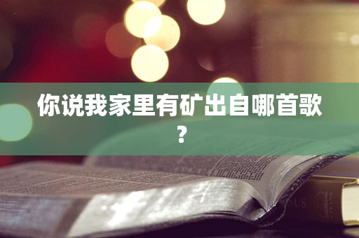 你说我家里有矿出自哪首歌？