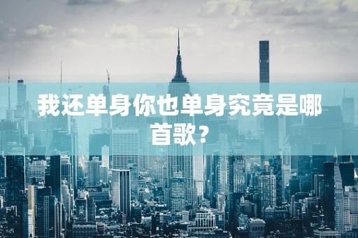 我还单身你也单身究竟是哪首歌？