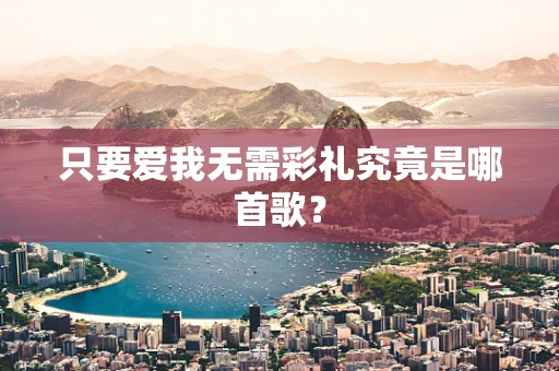 只要爱我无需彩礼究竟是哪首歌？