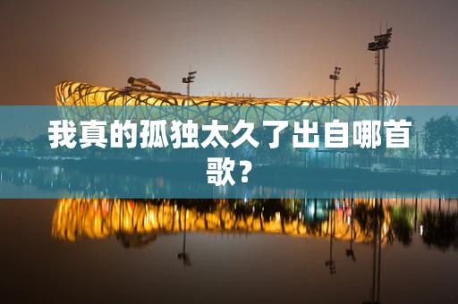 我真的孤独太久了出自哪首歌？