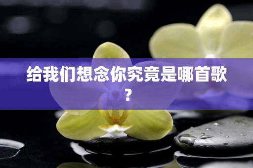 给我们想念你究竟是哪首歌？