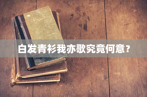 白发青衫我亦歌究竟何意？
