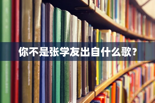 你不是张学友出自什么歌？