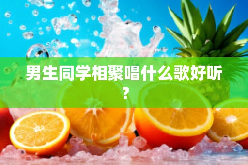 男生同学相聚唱什么歌好听？