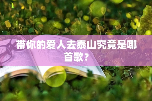 带你的爱人去泰山究竟是哪首歌？