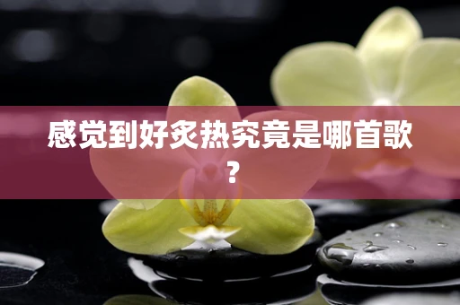 感觉到好炙热究竟是哪首歌？
