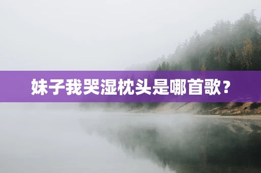 妹子我哭湿枕头是哪首歌？