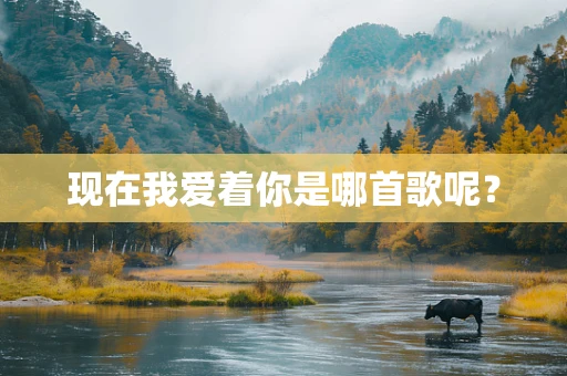 现在我爱着你是哪首歌呢？