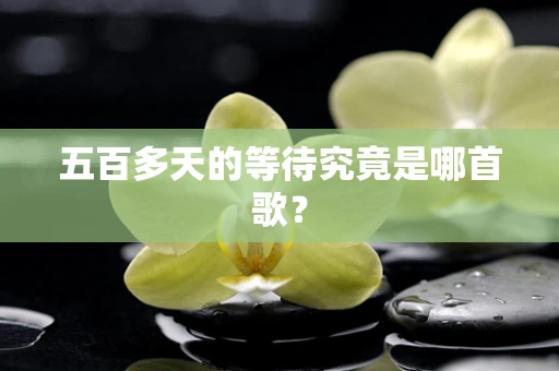 五百多天的等待究竟是哪首歌？