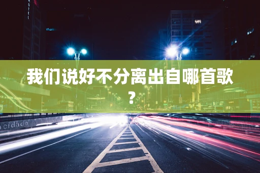 我们说好不分离出自哪首歌？