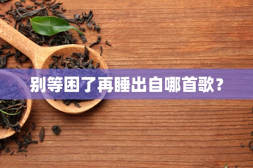 别等困了再睡出自哪首歌？