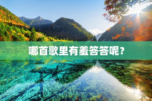 哪首歌里有羞答答呢？