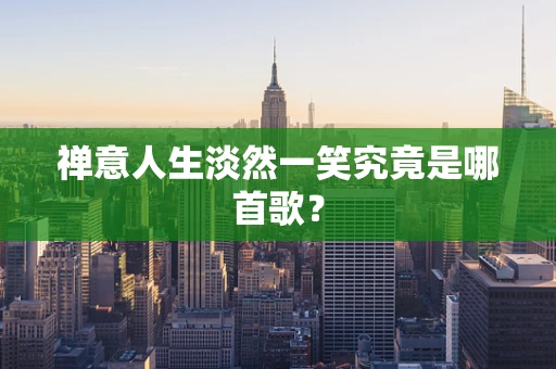 禅意人生淡然一笑究竟是哪首歌？