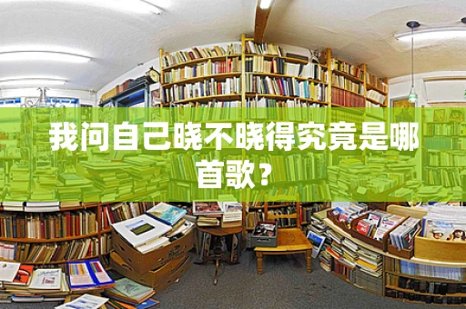 我问自己晓不晓得究竟是哪首歌？