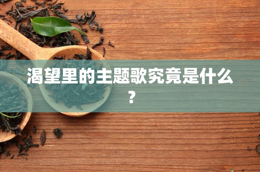 渴望里的主题歌究竟是什么？