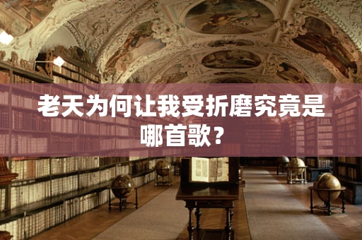 老天为何让我受折磨究竟是哪首歌？