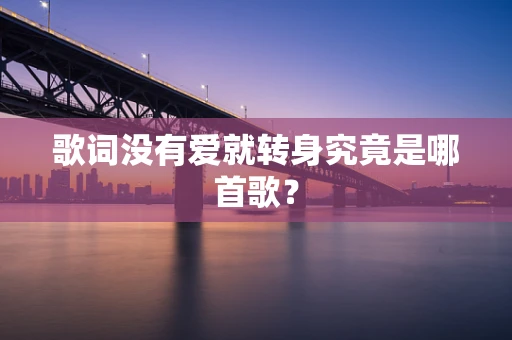 歌词没有爱就转身究竟是哪首歌？