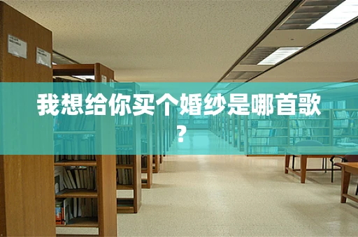 我想给你买个婚纱是哪首歌？
