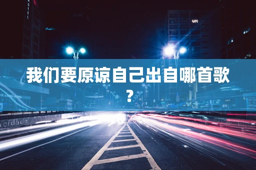 我们要原谅自己出自哪首歌？