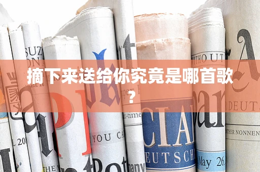 摘下来送给你究竟是哪首歌？