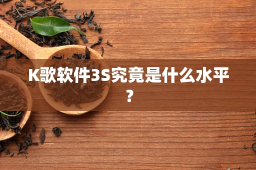 K歌软件3S究竟是什么水平？