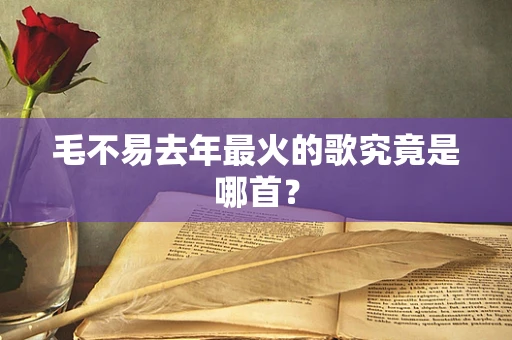 毛不易去年最火的歌究竟是哪首？