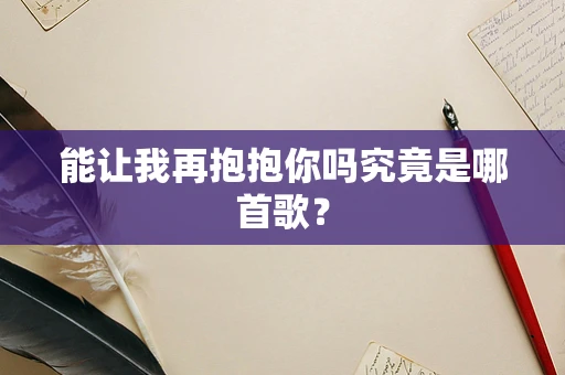 能让我再抱抱你吗究竟是哪首歌？