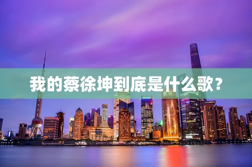 我的蔡徐坤到底是什么歌？