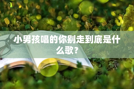 小男孩唱的你别走到底是什么歌？