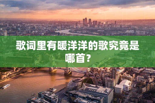 歌词里有暖洋洋的歌究竟是哪首？