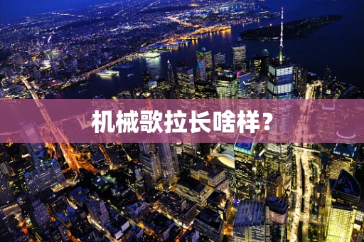 机械歌拉长啥样？