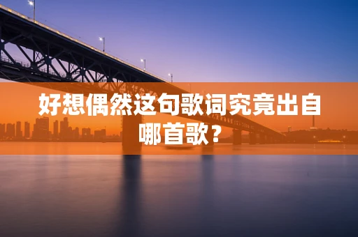 好想偶然这句歌词究竟出自哪首歌？
