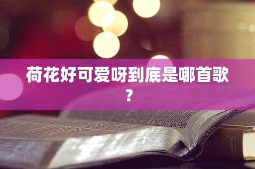 荷花好可爱呀到底是哪首歌？